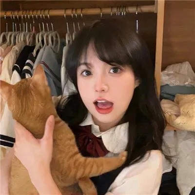 【高能反转】《为了N》荣仓奈奈贺来贤人：跨越十五年的塔楼命案，为了极致保护彼此的隐秘谎言